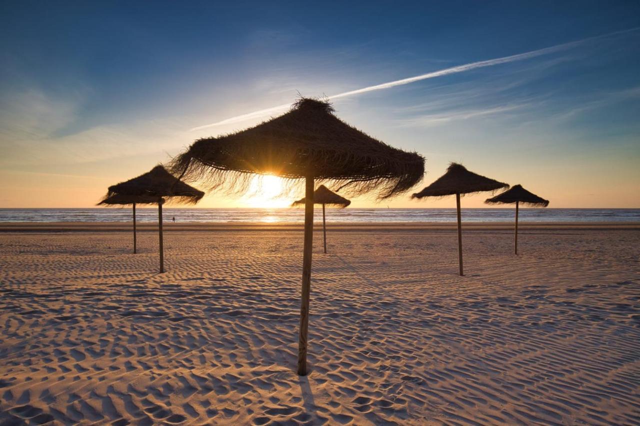 Huis Zeeduin Amsterdam Beach Zandvoort Dış mekan fotoğraf